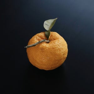 남해섬 유자티 티백