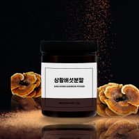 상황버섯분말 가루 펠리누스린테우스 목질진흙버섯 100g