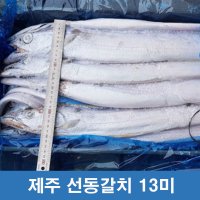 제주 선동갈치 1상자 10Kg 13마리 제주도 산지직송 제주갈치 명절 설선물