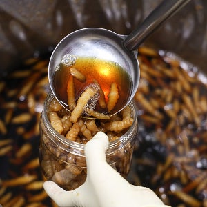 단양 유리네 수제 초석잠장아찌