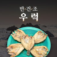 [복음젓갈] 반건조우럭 건우럭 구이 찜 말린우럭 매운탕재료 제수용생선