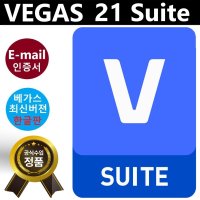 MAGIX VEGAS Pro 21 Suite 매직스 배가스 한글판 영구 최신버젼 라이선스