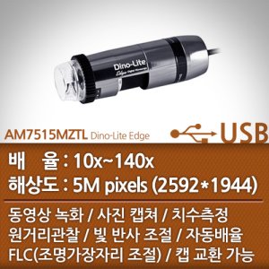 dinolite 최저가 가성비상품