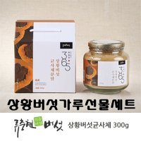 류충현 상황버섯 균사체 베타글루칸 목질진흙 린테우스 분말 가루 차 물 면역력에좋은