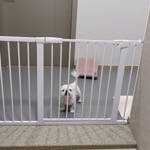 아토주 강아지 애견 고양이 반려견 대형견 개 울타리 펜스