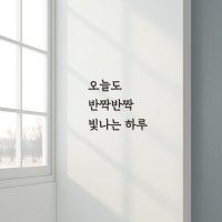 모닝글로우 글자스티커 레터링시트지 도어사인 카페 옷가게 내부 외부 벽면 글씨컷팅 맞춤제작