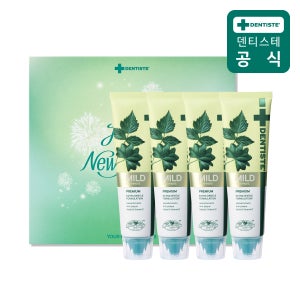 덴티스테 치약 4P 선물세트 마일드 100g 설 명절선물 집들이선물 생일선물