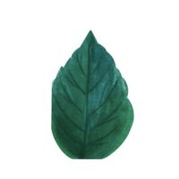 MeriMeri 메리메리 - Rose Garden Leaf Napkins (20장입) / 잎모양 냅킨