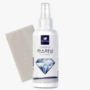 카스터닝 김서림방지제 대용량 150ml 자동차 자동차유리습기 차량습기제거