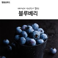 명광성 푸드 날마다 과일 나라 블루베리 채소 국내 수입