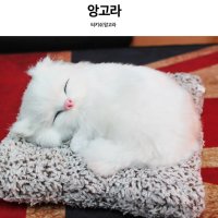 귀여운 차량 제습 탈취 애완 동물 잠자는 강아지 고양이 인형 공기 정화 차량용 활성탄