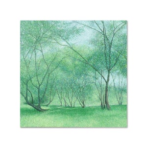 자연 인상, 김재현 작가