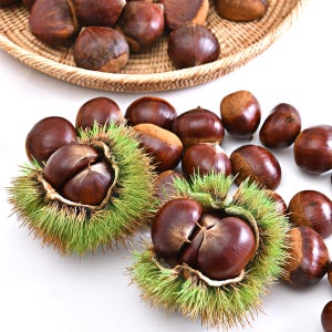 [2025년 햇밤]공주 알밤 1kg 대 특대 사이즈 토실토실 국산밤 대보름 부럼