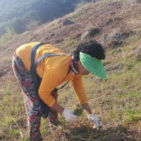 [23년 햇고사리 300g이상 배송비무료] 지리산고사리 건고사리 100g 국산 국내산 함양 산청