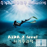 AIDA 아이다 2레벨 자격증과정 강습권 [3일 과정]