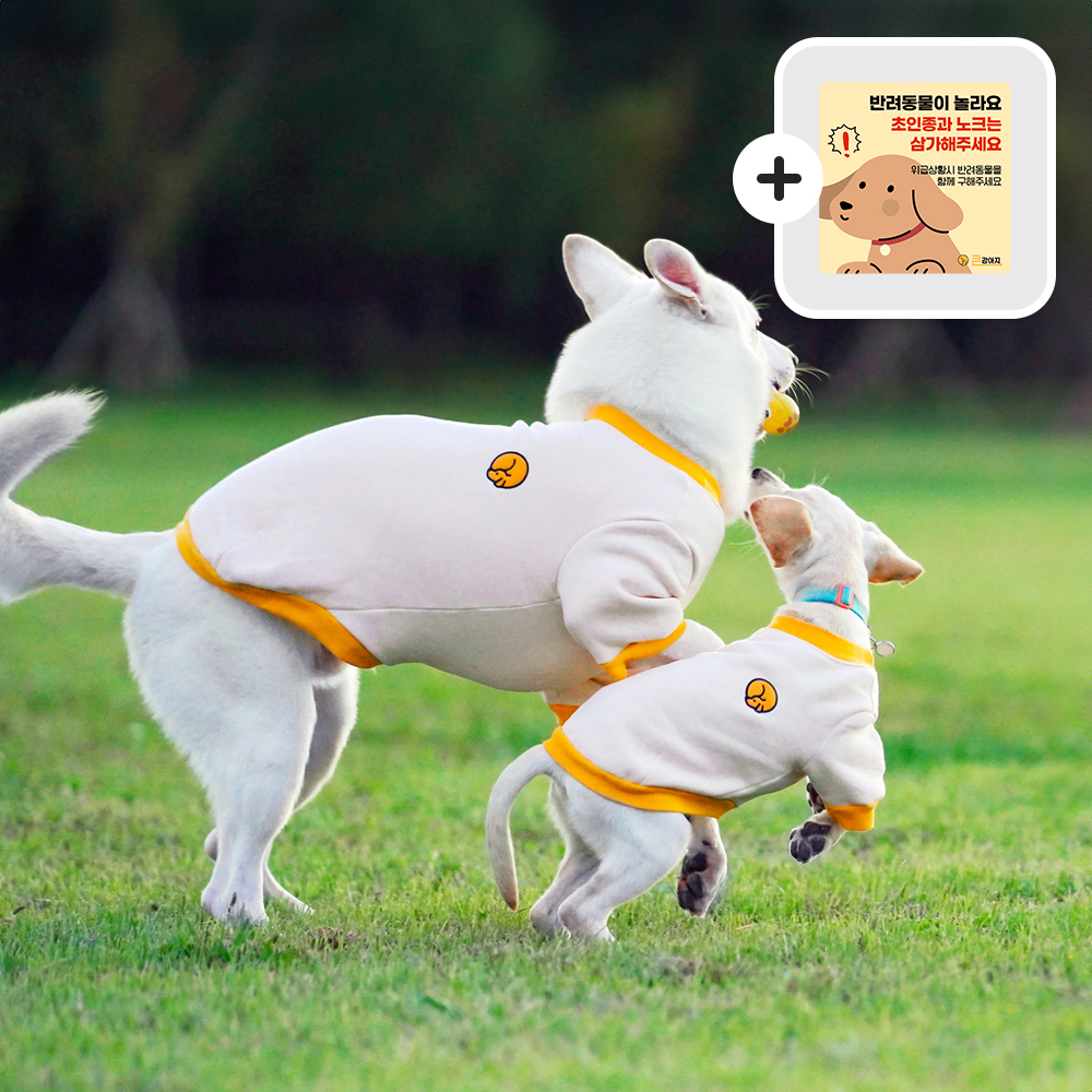 대형견옷 강아지 맨투맨 기모 티셔츠 실내복 중형견옷 리트리버