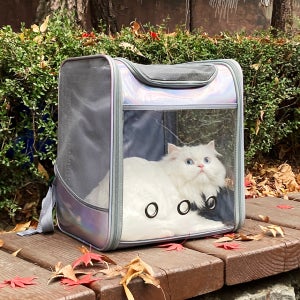 가티가티 고양이 이동가방 이동장 강아지