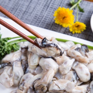 통영산 굴 생굴 1kg