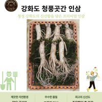 선물용 강화인삼 6년근(대)강화도인삼 원삼