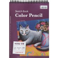 문구용품 문구사무 색연필전용스케치북스프링(상철)220G(A4) 전용지 스케치북 종이