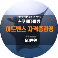 서울 / 제주 스쿠버다이빙 자격증 교육