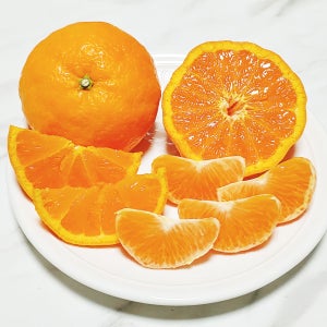 제주 카라향 3kg 5kg 10kg 선물세트 가정용