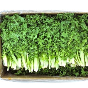 야채왕 치커리 2kg, 1개