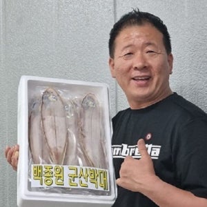 박대 생선 군산박대 33~38cm선물용 특대11미 반건조 구이 조림 마리당150-180g