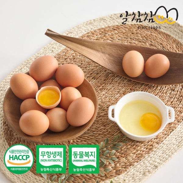 알참참 난각번호2번 계란 유정란 무항생제 친환경 동물복지 평사 생란 달걀