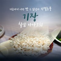 기장 칠암 아나고회 붕장어 바다장어 회세트 맛있고 싱싱한 회 부산맛집 월화횟집 접대음식