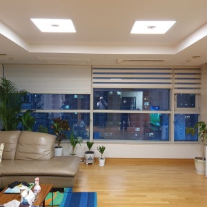 165세로155cm 사무실 롤스크린 베란다 버티컬 2중 브라인드