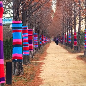 색동나무 그래피티니팅 나무옷 디자인섬유수목보호
