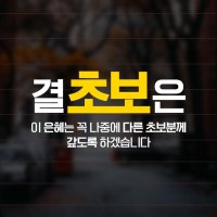 결초보은 스티커 FV006 혼합 화이트 옐로우 극한 차량 자동차 운전 유리시트컷팅 모노밤