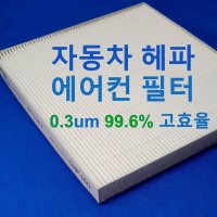 자동차 에어컨필터 H11 등급 헤파 PM0.3 99.6프로 고효율 차단 다보니