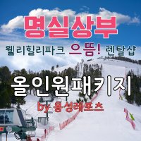 웰리힐리파크 올인원패키지 리프트 스키 스노우보드 의류 보호장비 포함 by 용성 렌탈샵