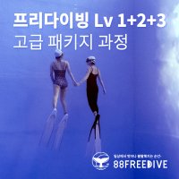 [프리다이빙 강습] AIDA1+2+3 고급 패키지 라이센스 자격증 서울 잠실 교육 SSI