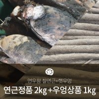 연우팜 찰연근 정품 2Kg + 우엉 상품 1kg