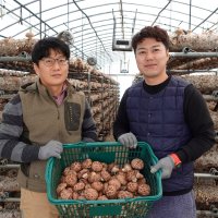 국산 무농약 생표고버섯 말린 건표고 버섯 선물세트