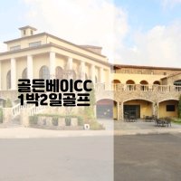 [충청도 태안] 골든베이cc 1박2일골프