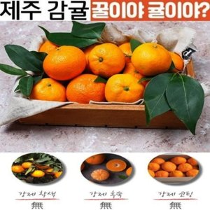 레드향5kg 최저가 가성비상품