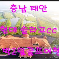 충남 태안 현대솔라고cc 1박2일골프패키지