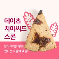 데이츠치아씨드스콘