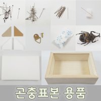 곤충표본용품 표본상자 표본용곤충 핀 전족판 장수풍뎅이 사슴벌레 잠자리 채집 곤충 박제