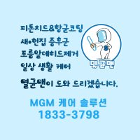 새집증후군제거 멸균맨 피톤치드&항균코팅