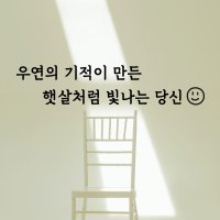 레터링 스티커 글자 시트지 제작 말씀 현관문 벽 거울 글씨 스티커 카페 유리 창문 감성