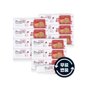 뉴트라라이프 고함량 프로폴리스 치약 100g, 10개