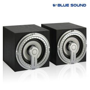 블루사운드 BS-S200 USB 스피커 블랙 2채널 다이나믹 사운드 밀폐형 공간활용 영화음악감상 PC 노트북 게임 티비연결 홈시어터 인클로저 적용 풀 레인지 유닛 볼륨조절 내장