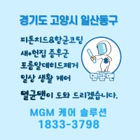 경기도 고양시 일산동구 새집증후군제거 멸균맨 피톤치드&항균코팅