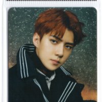 엑소 - 캐시비 교통카드 / SEHUN ver