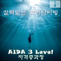 AIDA 아이다 3레벨 자격증과정